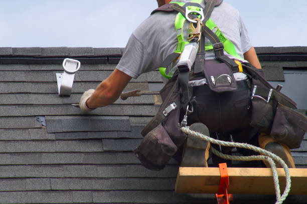 Best Roof Gutter Cleaning  in Marissa, IL