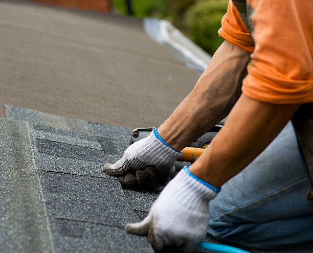Best Roof Leak Repair  in Marissa, IL